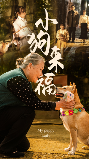 小狗来福（30集）精彩短剧分享。