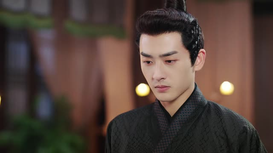 小女不听将军令（24集）精彩短剧天天看