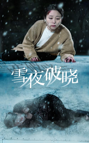雪夜破晓（36集）精彩短剧分享