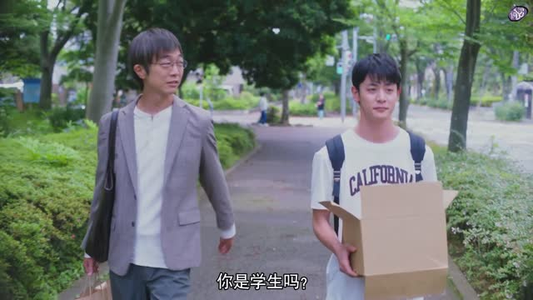 向阳之处必有声（12集）短剧在线观看