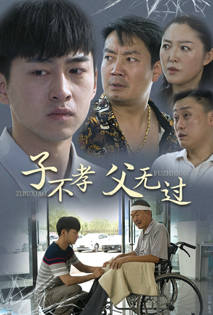 子不孝父无过（30集）网上可以看吗