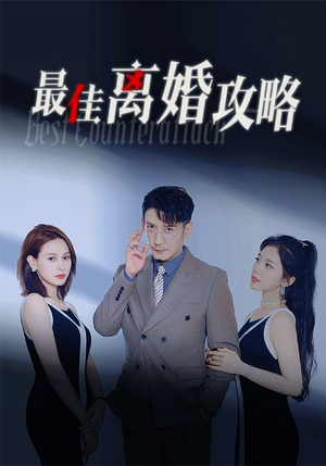 最佳离婚攻略（31集）在哪个平台看