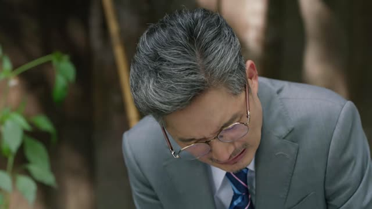 重燃（24集）免费看全集