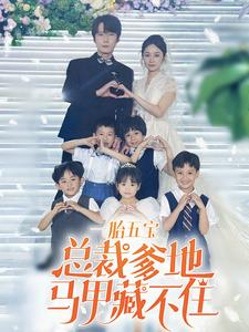 一胎五宝总裁爹地马甲藏不住（74集）一起追短剧
