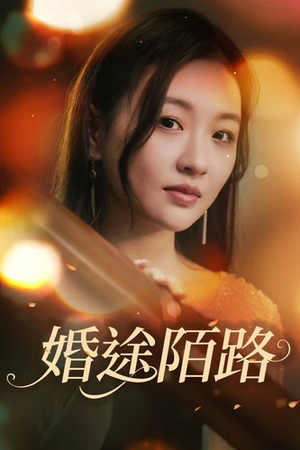 婚途陌路（15集）解说文案