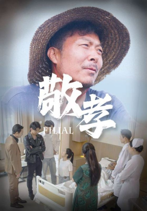 敬孝（61集）百度在线观看