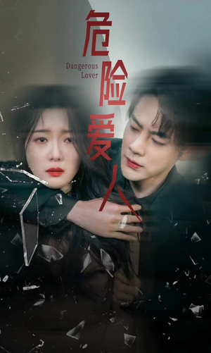 危险爱人（77集）免费看全集
