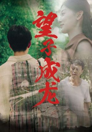 望子成龙（74集）热门短剧排行榜