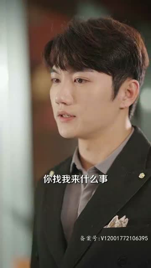 3.风起时见你（93集）演的怎么样