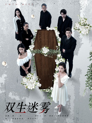 双生迷雾（80集）免费短剧看全集