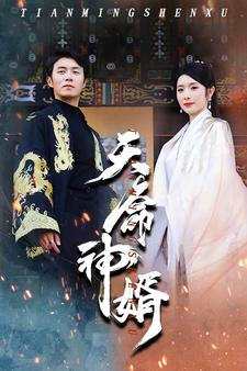 天命神婿（80集）红果免费看短剧