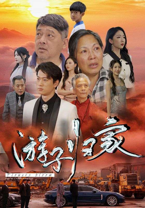 游子归家（88集）热门短剧看不停