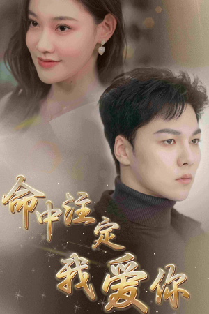 命中注定我爱你（75集）完整版