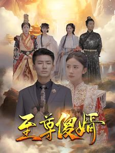至尊傻婿（82集）排行榜前十短剧