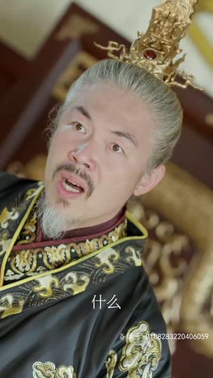 王行天下（100集）全剧看到大结局