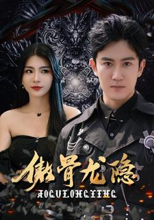 傲骨龙隐（102集）免费版