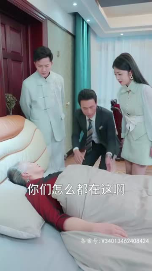 龙腾四海（80集）短剧每日分享