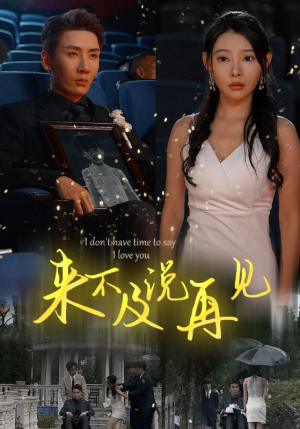 来不及说再见（30集）爱短剧爱追剧