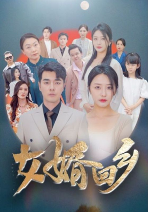 女婿回乡（120集）火爆热门短剧
