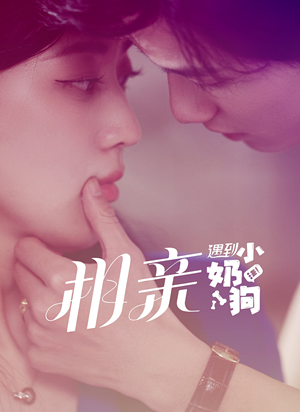 相亲遇到小奶狗（80集）短剧看全集