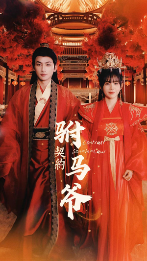 契约驸马爷（74集）无需充值尽情看