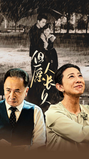 但愿人长久（80集）全集