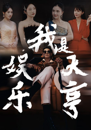 我是娱乐大亨（73集）在线观看全集