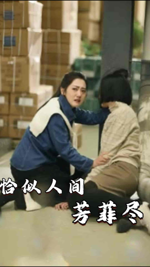 恰似人间芳菲尽（68集）全集完整版