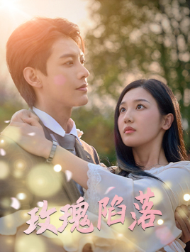 玫瑰陷落（67集）更新时间