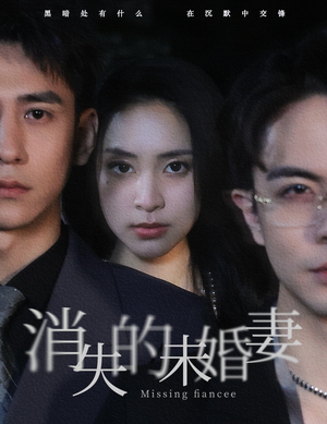 消失的未婚妻（82集）熬夜追短剧