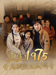 重生1975开局撕毁回城调令（83集）完整版