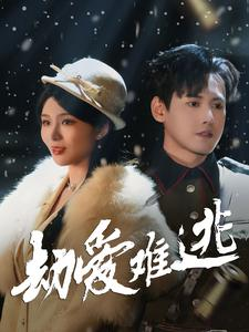 24.劫爱难逃（30集）全部免费看全集