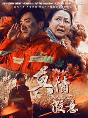 29.真情假意（62集）热播古装短剧