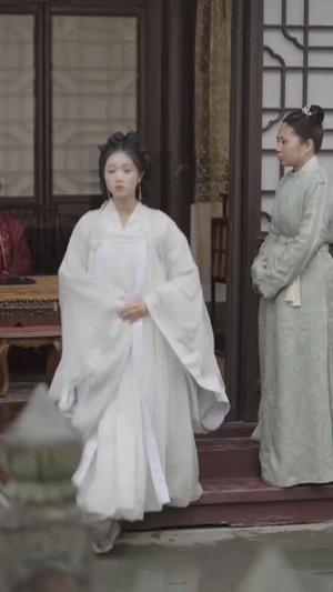 团宠公主美又娇（合集）最后一集