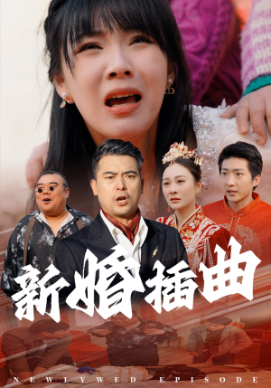 31.新婚插曲（29集）一口气看完
