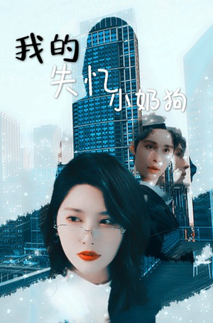 我的失忆小奶狗（64集）短剧热播抢先看