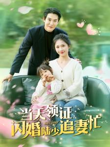 当天领证闪婚陆少追妻忙（80集）在哪个平台能看