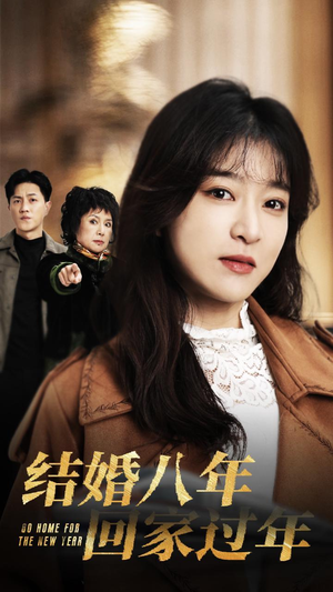 结婚八年回家过年（30集）全集完整版