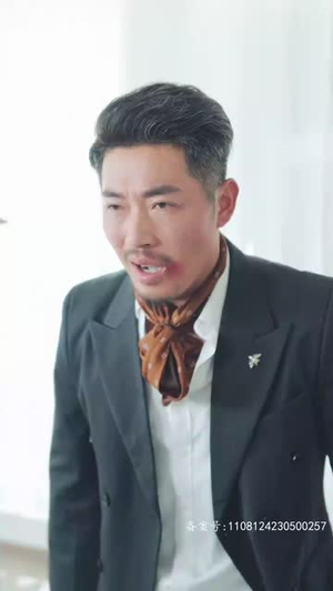 不辞春色（96集）追短剧看全集