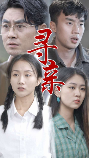 寻亲（35集）剧情简介