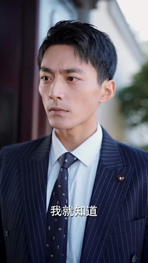 拒不复婚，渣夫请自重（96集）热门短剧追到爽