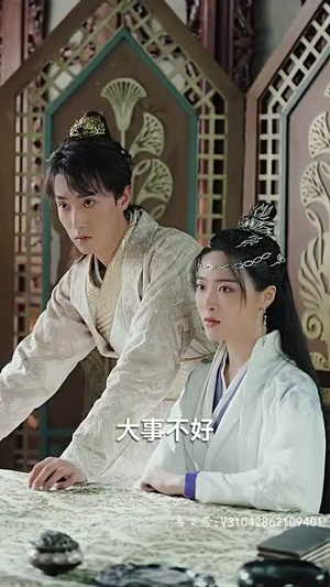 我的老婆是将军（97集）大结局