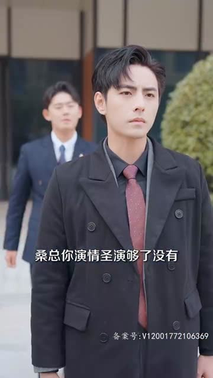 我们爱过又忘记（101集）免费在线看