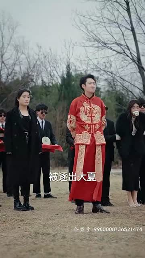 绝品神豪（100集）在线观看全集