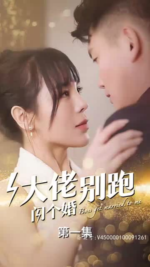 大佬别跑闪个婚（98集）第一集