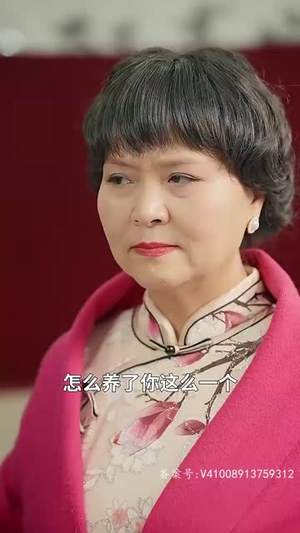 重回1993之逆转人生（80集）大结局太过瘾了