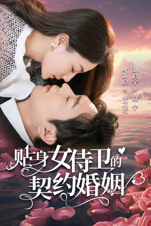 贴身女侍卫的契约婚姻（91集）短剧全集免费