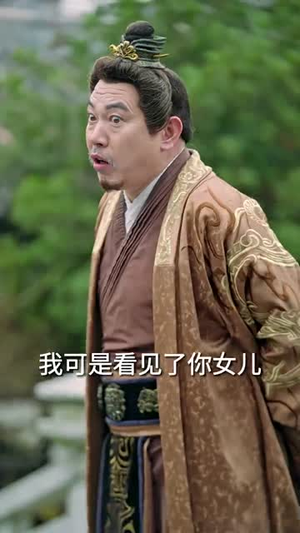 家父张二河（100集）短剧上头又好看