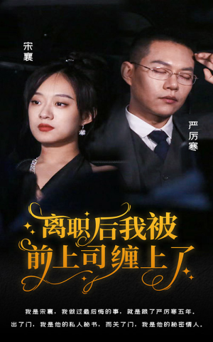 离职后，我被前上司缠上了（100集）好看短剧分享