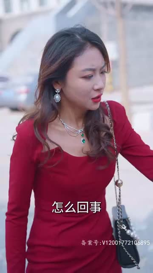 世仁之重回巅峰（91集）古装短剧热播